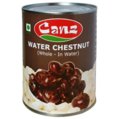 Canz Water Chestnut, 507 gm